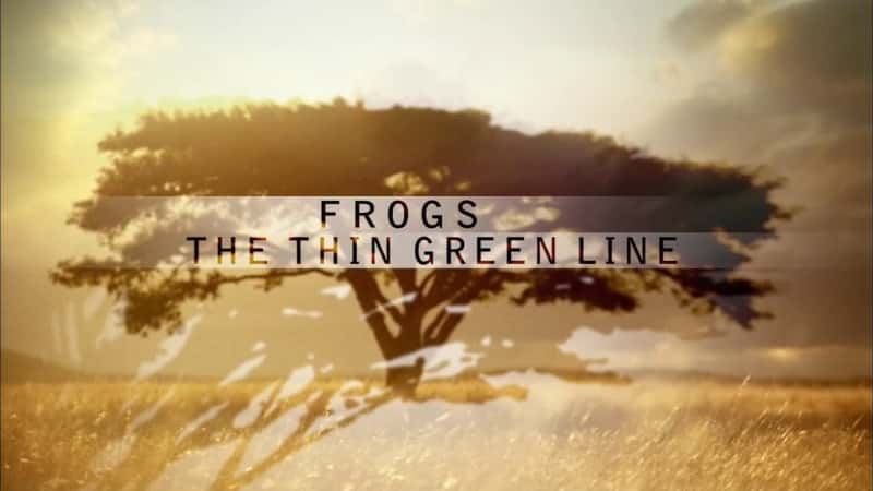 ¼Ƭܣϸϸ (HD) Frogs: The Thin Green Line (HD)Ļ/Ļ