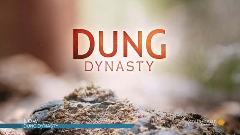 ¼Ƭ Dung Dynasty1080Pȫ1-Ļ/Ļ