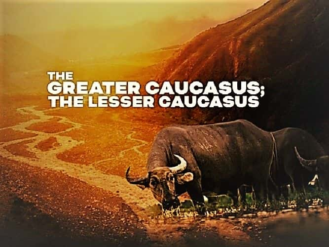 ¼Ƭ߼С߼ϵ 1 The Greater Caucasus: The Lesser Caucasus: Series 11080P-Ļ/Ļ