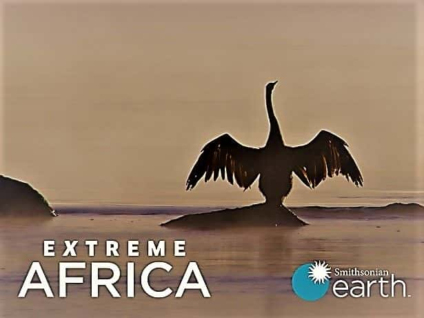 ¼Ƭ˷ Extreme Africa1080P-Ļ/Ļ