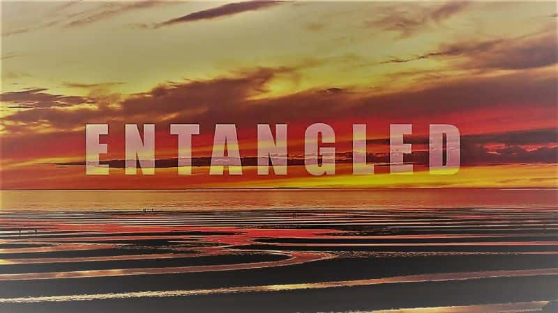 ¼Ƭ Entangled1080P-Ļ/Ļ