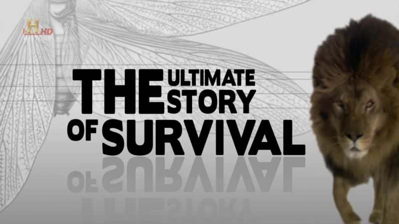 ¼Ƭռ Evolve: The Ultimate Story of SurvivalĻ/Ļ