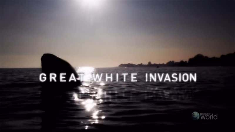 ¼Ƭɫ Great White InvasionĻ/Ļ