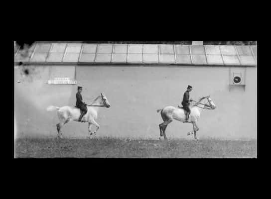 ¼Ƭٰ-˹ - 400 Ӱ Chronophotographiques Etienne-Jules Marey - 400 Films ChronophotographiquesĻ/Ļ