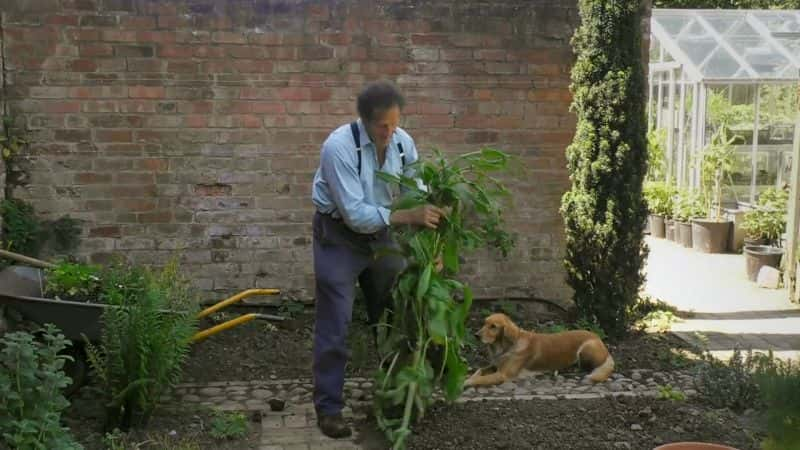 ¼Ƭ԰磺ϵ 53  12  Gardeners World: Series 53 Part 121080P-Ļ/Ļ