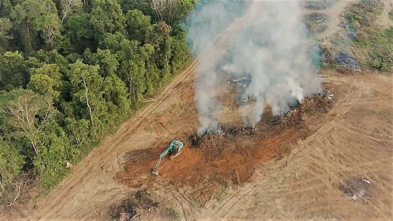 纪录片《地球紧急情况 Earth Emergency》[无字][BT][720P]资源下载