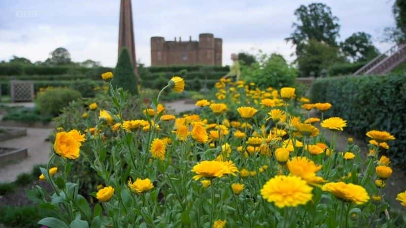 ¼Ƭ׸Ů̻ Fireworks for a Tudor Queenȫ1-Ļ/Ļ