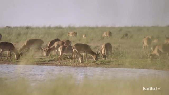 ¼ƬȺ Elena and the Saiga1080Pȫ1-Ļ/Ļ