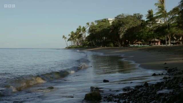 ¼Ƭ Escape from Lahaina1080P-Ļ/Ļ