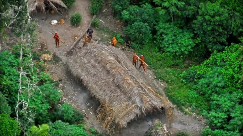 ¼ƬһνӴʧѷ䣨壩 First Contact: Lost Tribe of the Amazon (HD)Ļ/Ļ