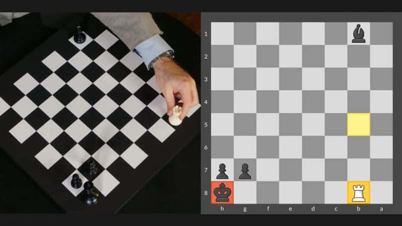 ¼Ƭ˹޷ڹ Garry Kasparov Teaches ChessĻ/Ļ