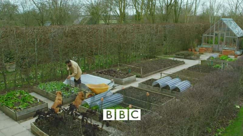 ¼Ƭ԰磺ϵ 53 Gardeners World: Series 531080P-Ļ/Ļ