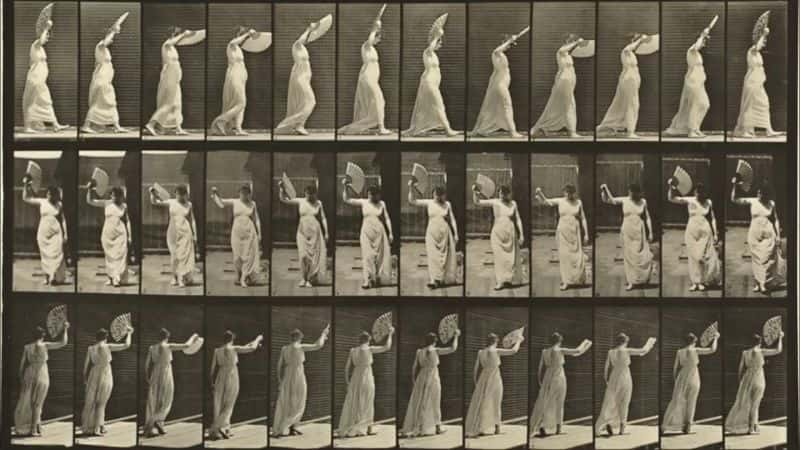 ¼ƬEadweard Muybridge  160 ֶ˶ Eadweard Muybridge's 160 Animal LocomotionsĻ/Ļ