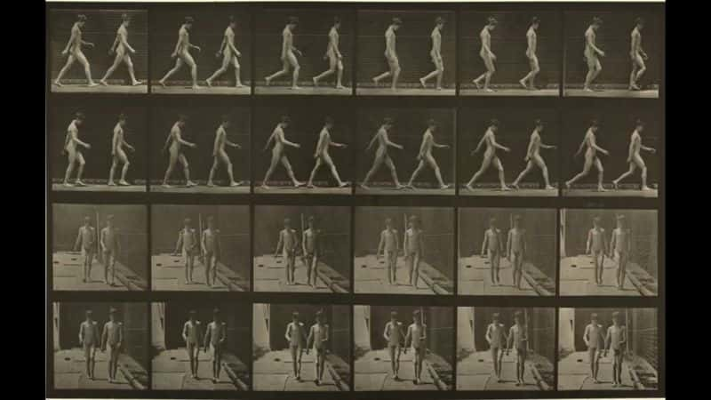 ¼ƬEadweard Muybridge  160 ֶ˶ Eadweard Muybridge's 160 Animal LocomotionsĻ/Ļ