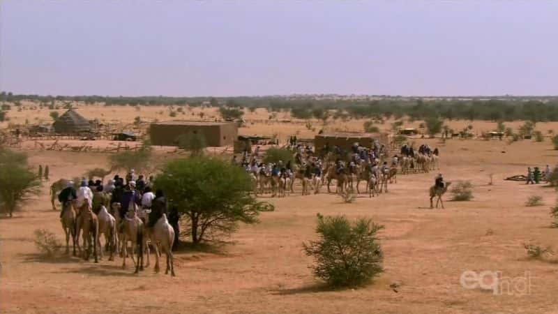 ¼ƬɳĮƤ The Great Desert TurfĻ/Ļ