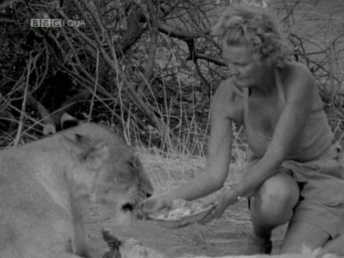 ¼Ƭĸʨɯ Elsa the Lioness720Pȫ1-Ļ/Ļ