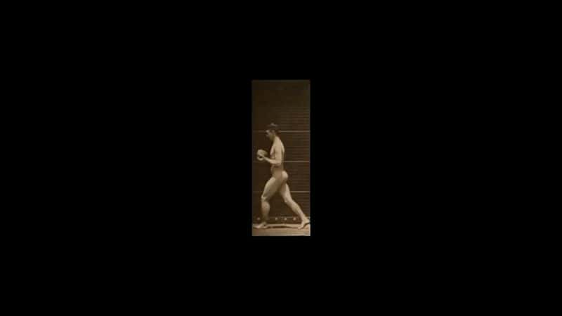 ¼ƬEadweard Muybridge  160 ֶ˶ Eadweard Muybridge's 160 Animal LocomotionsĻ/Ļ