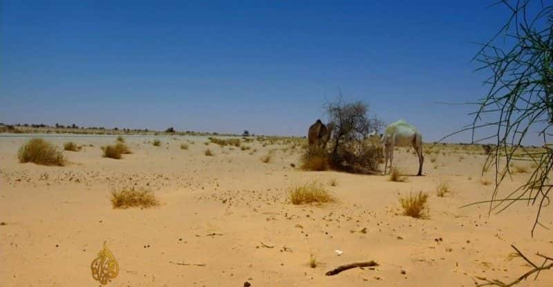 ¼Ƭ ӵ϶  ￦ From Agadir to Dakarȫ1-Ļ/Ļ