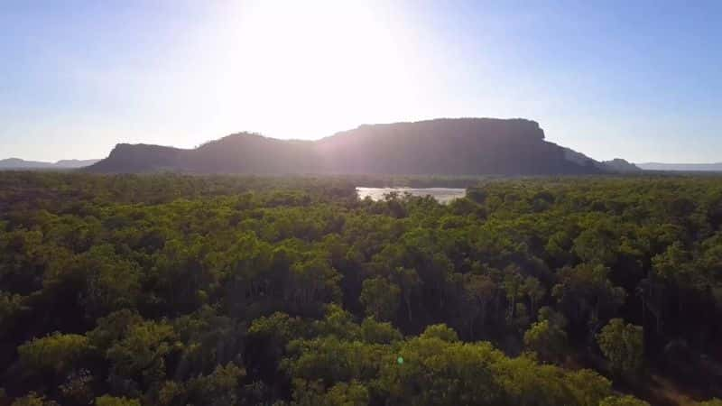 ¼Ƭĸ䣺ŵΣ Four Corners: Crisis in Kakadu1080P-Ļ/Ļ