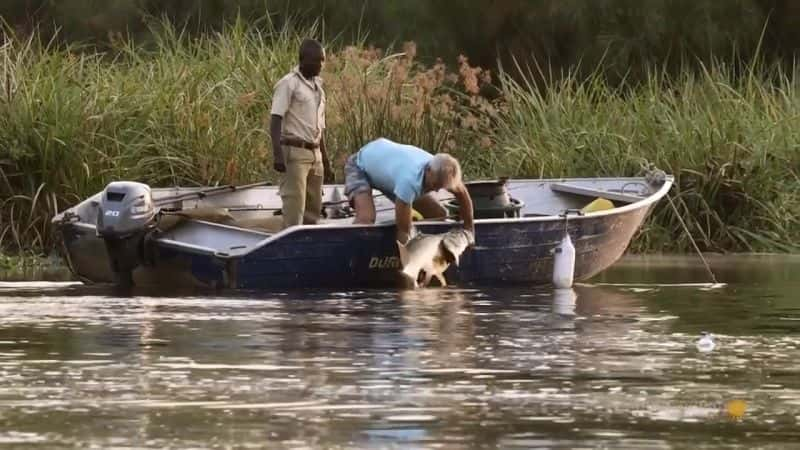 ¼Ƭˣ޺ Fishing for Giants: The Nile SwallowerĻ/Ļ