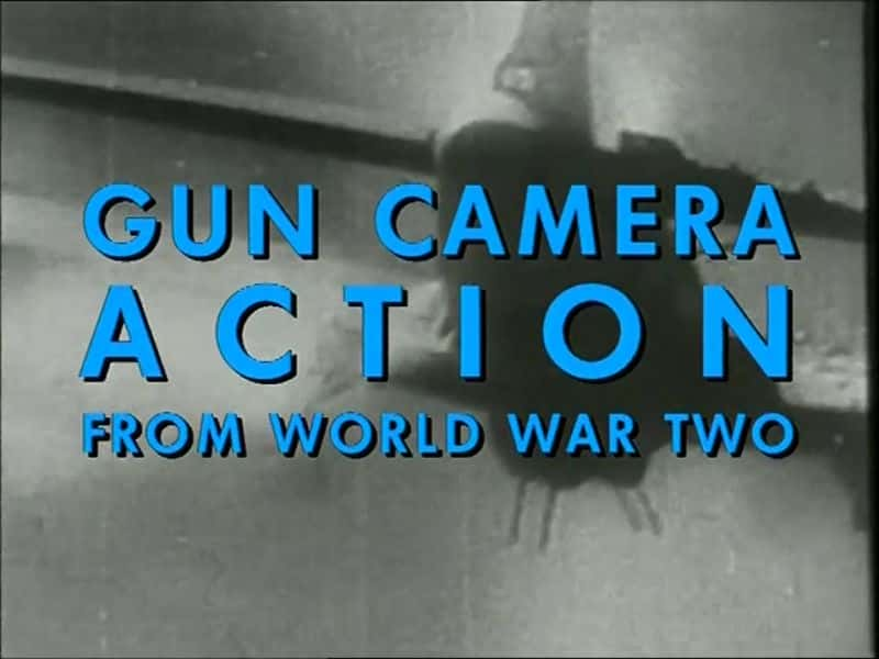 ¼Ƭڶսǹ Gun Camera Action from World War TwoĻ/Ļ