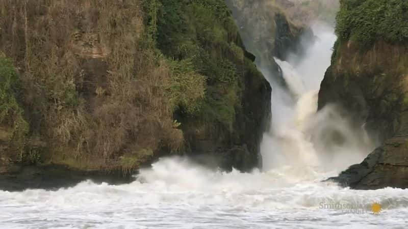 ¼Ƭˣ޺ Fishing for Giants: The Nile SwallowerĻ/Ļ