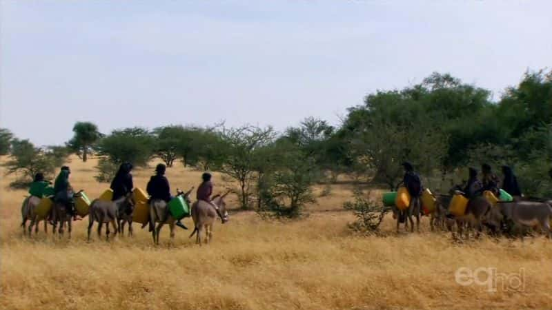 ¼ƬɳĮƤ The Great Desert TurfĻ/Ļ