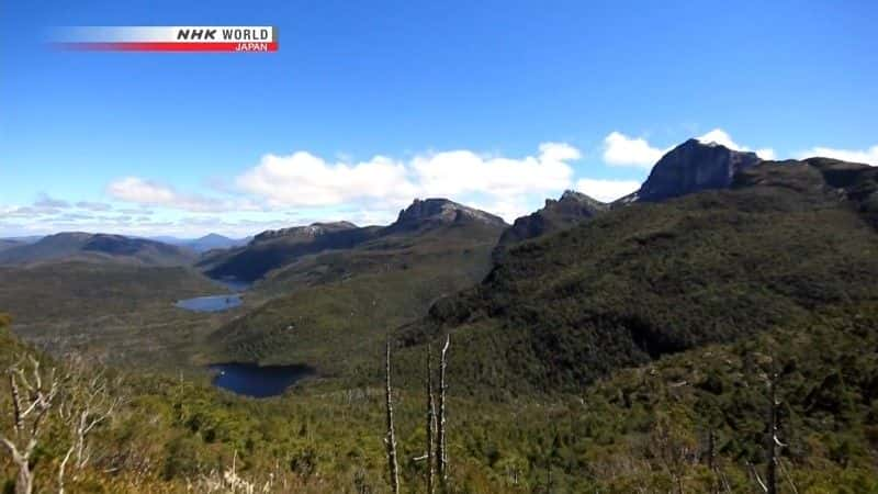 ¼Ƭصĵ죺˹ The Enigmatic Island: Tasmaniaȫ1-Ļ/Ļ