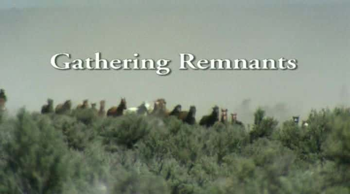 ¼Ƭռ Gathering RemnantsĻ/Ļ