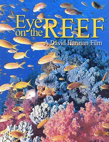 纪录片《关注珊瑚礁 Eye on the Reef》[无字][BT][1080P]资源下载