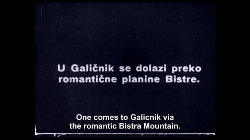 ¼Ƭ GalicnikĻ/Ļ