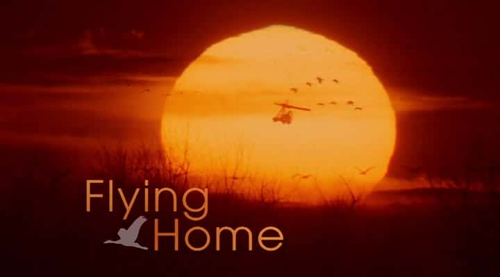 ¼Ƭɻؼ Flying HomeĻ/Ļ