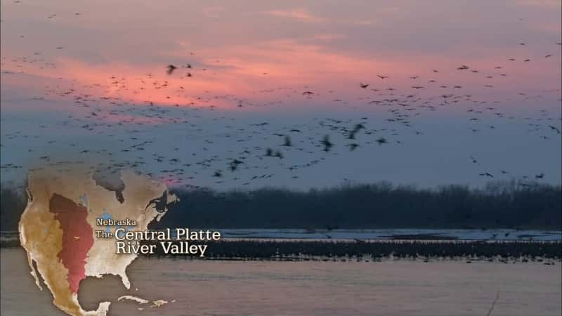 ¼Ƭƽԭ֮ȥĻҰ Great Plains: America's Lingering WildĻ/Ļ