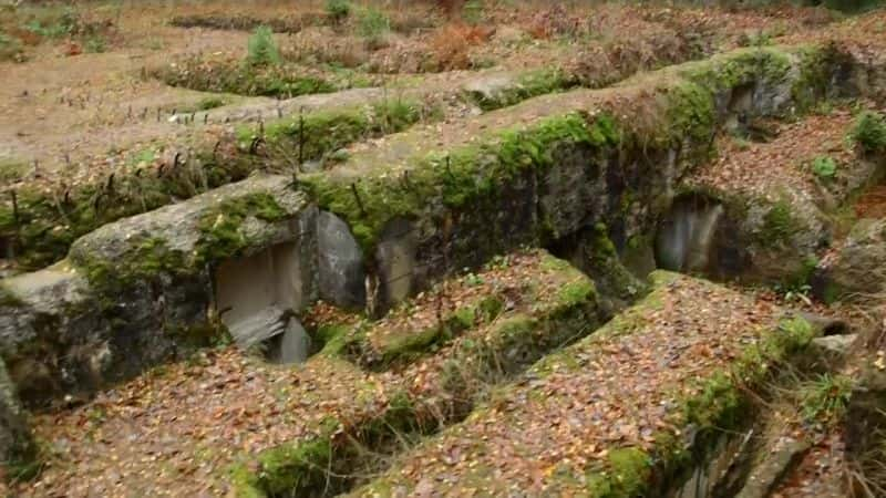 ¼Ƭδ֪Զϵ2ɴƽг Expedition Unknown Series 2: Nazi Gold TrainĻ/Ļ