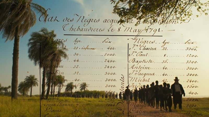 ¼Ƭľūó׵ Ebony: The Last Years of the Atlantic Slave Trade1080P-Ļ/Ļ