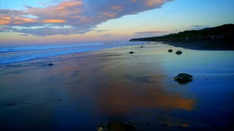 ¼Ƭ˹ Escape to Costa Ricaȫ3-Ļ/Ļ