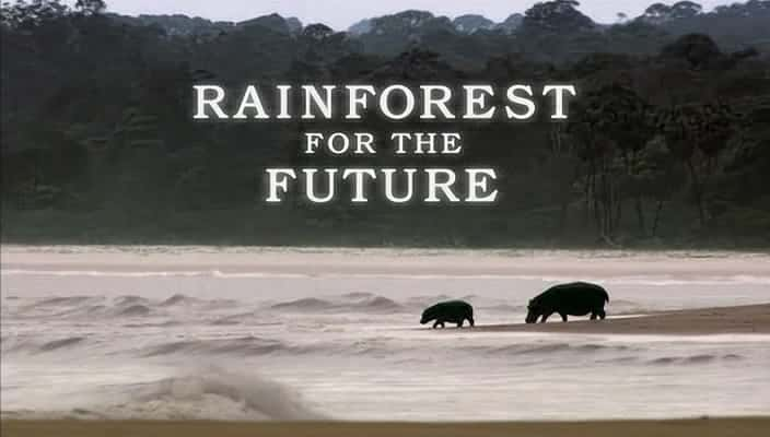 ¼Ƭδɭ Gabon Forests of the FutureĻ/Ļ