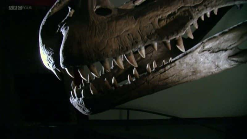 ¼Ƭƽָ (BBC) Extinct: A Horizon Guide to Dinosaurs (BBC)ȫ1-Ļ/Ļ