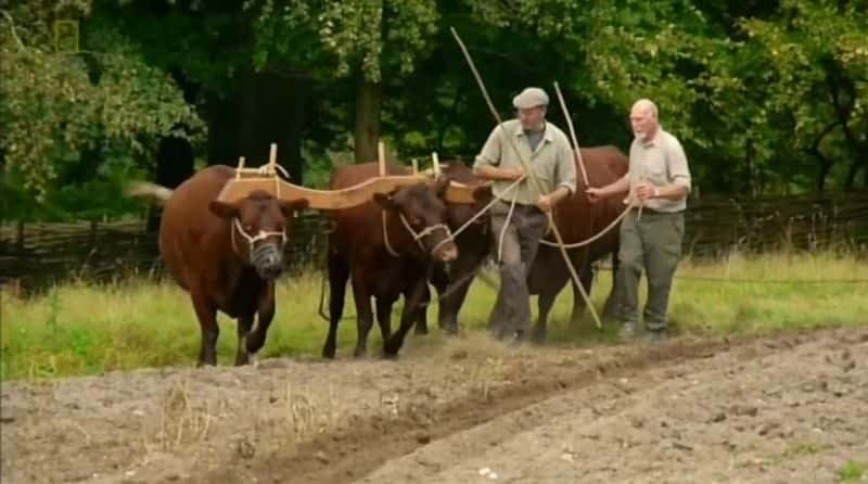 ¼Ƭ絽 From Ploughs to Super CarsĻ/Ļ