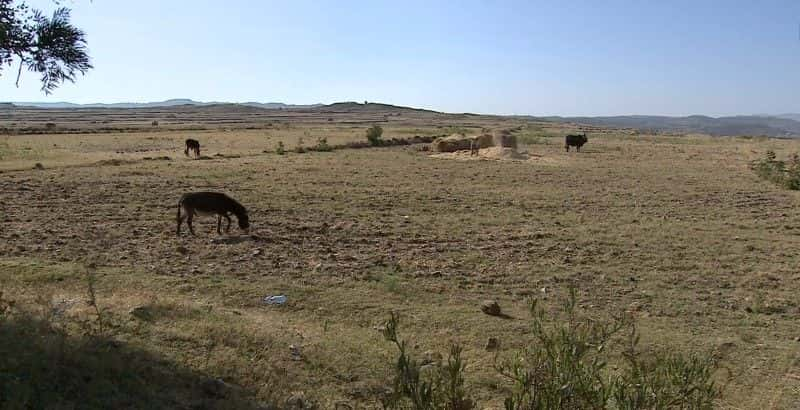 ¼Ƭǣĸ Ethiopia: Racing to ReformĻ/Ļ