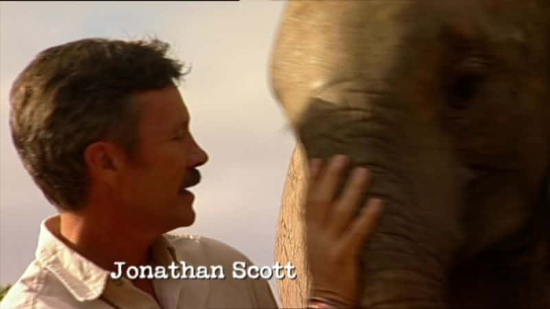 ¼Ƭռ 1080i Elephant Diaries 1080i1080P-Ļ/Ļ