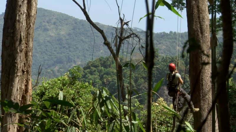 ¼ƬԶ Expedition Burma1080P-Ļ/Ļ