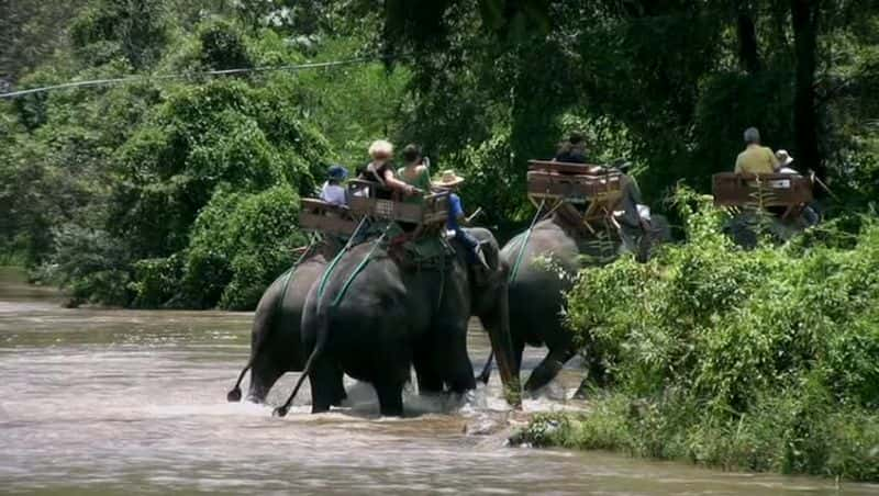 ¼Ƭ̩֮ The Eyes of Thailandȫ1-Ļ/Ļ