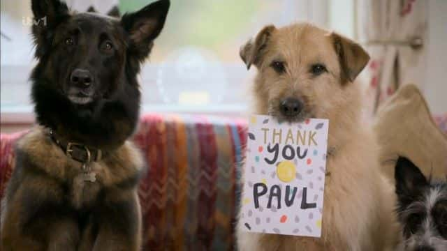 ¼ƬΪ˱ޡ¸׵ϵİ For the Love of Paul O'Grady1080Pȫ1-Ļ/Ļ