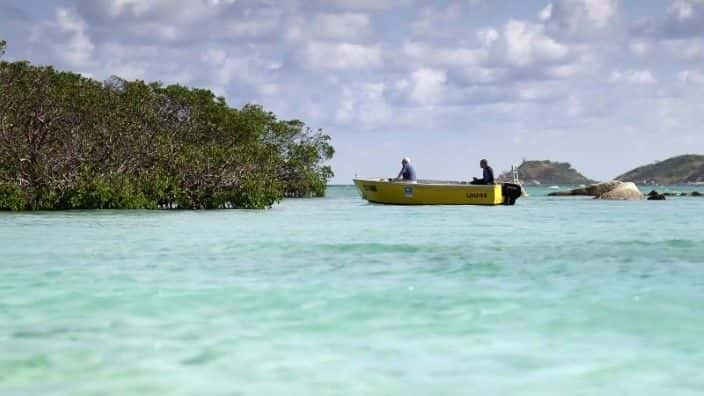 ¼Ƭ (David Attenborough) Ĵ󱤽 Great Barrier Reef with David Attenborough1080Pȫ3-Ļ/Ļ