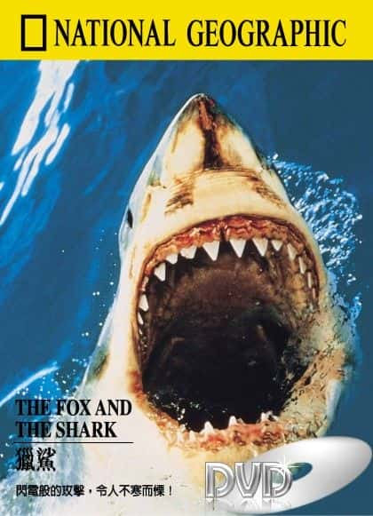 纪录片《狐狸与鲨鱼 The Fox and the Sharks》[无字] [BT][DVD画质]资源下载