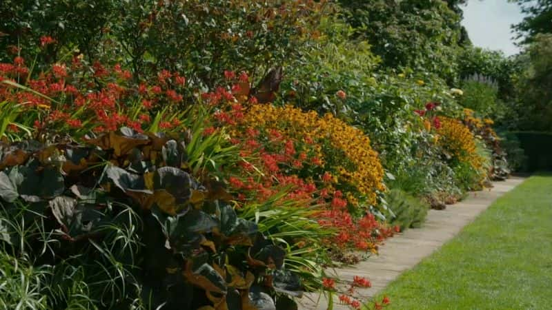 ¼Ƭ԰ϵ 53 10  Gardeners World Series 53: Part 101080P-Ļ/Ļ