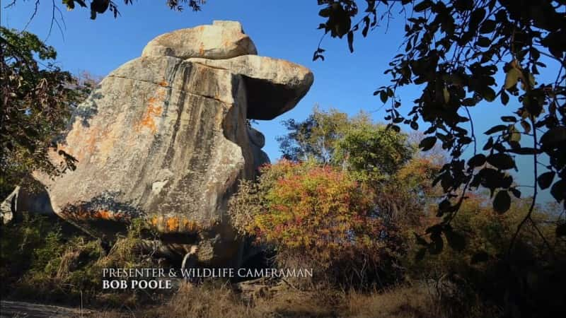 ¼Ƭ԰õ Gorongosa Park: Rebirth of ParadiseĻ/Ļ