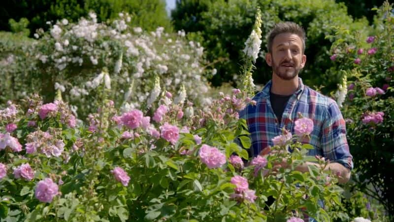 ¼Ƭ԰ϵ 53 10  Gardeners World Series 53: Part 101080P-Ļ/Ļ