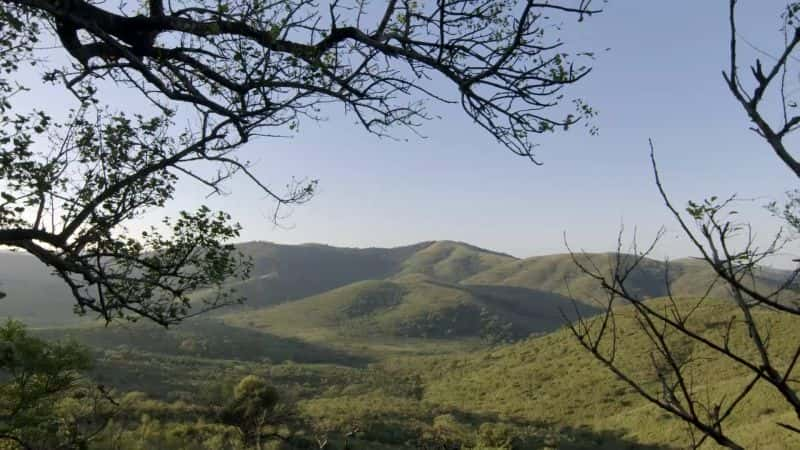 ¼ƬΰĹ԰Hluhluwe-iMfolozi Great Parks of Africa: Hluhluwe-iMfolozi1080P-Ļ/Ļ